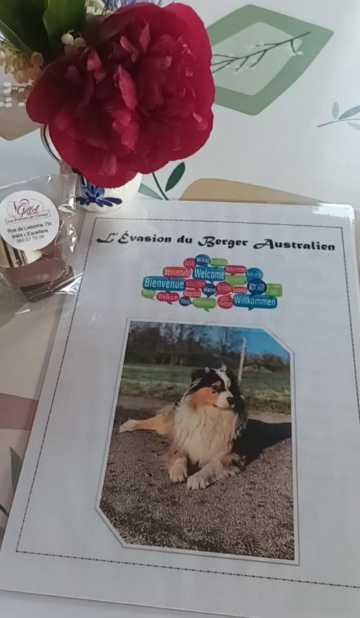 Apartmán L'Evasion Du Berger Australien Couvin Exteriér fotografie